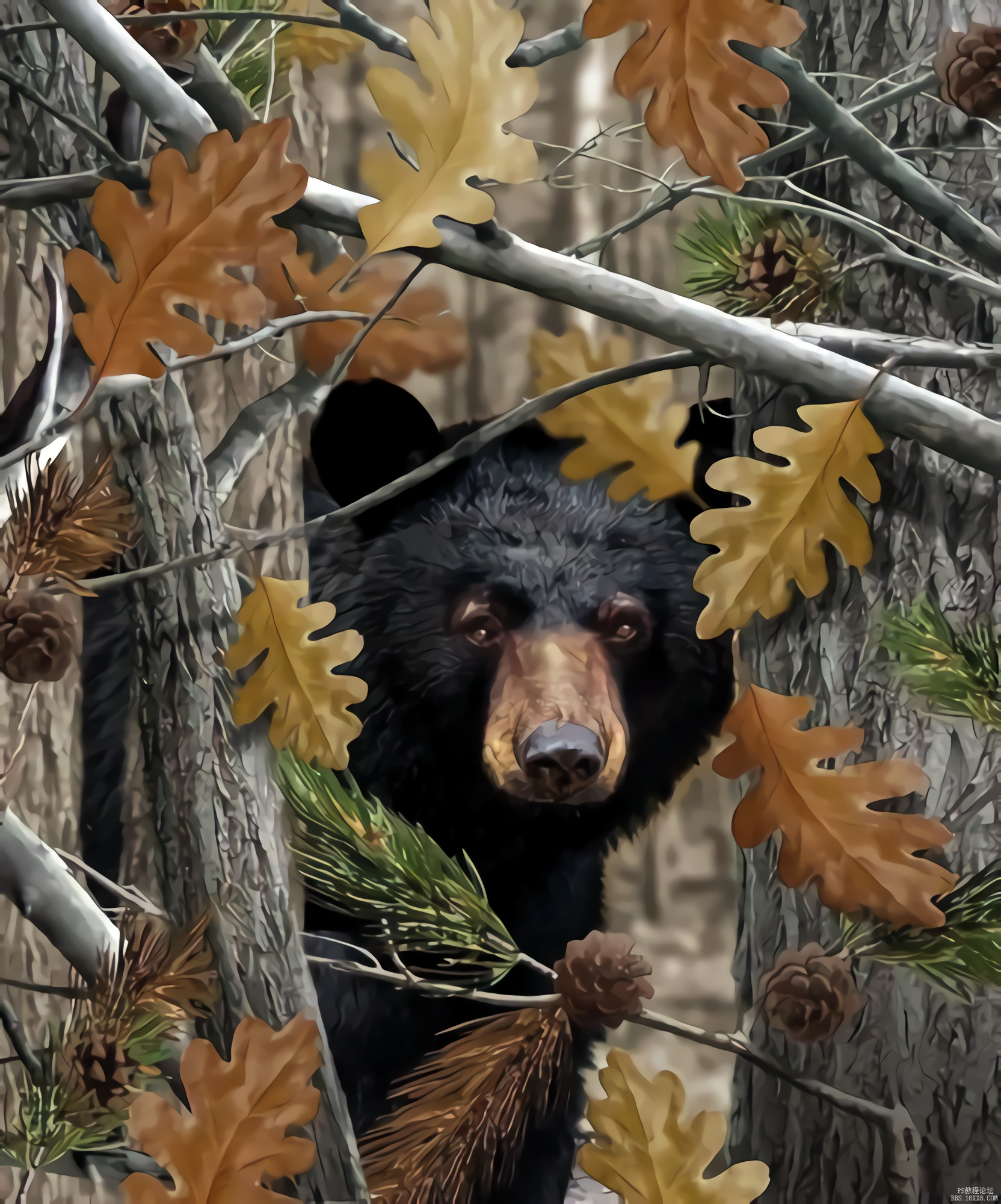Camouflage Camo Bear bj.jpg